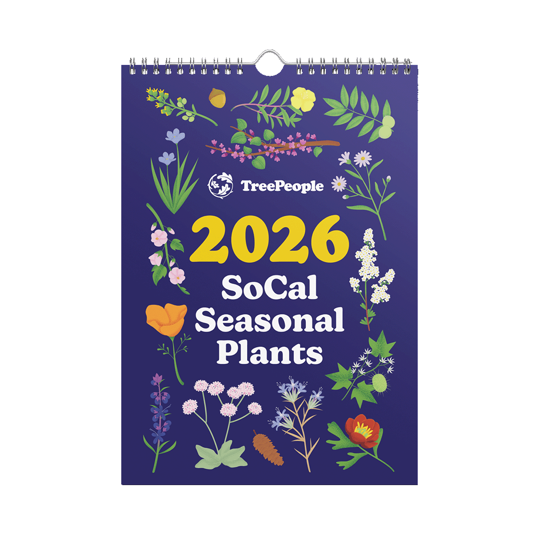 2026 SoCal Seasonal Plants Calendar
