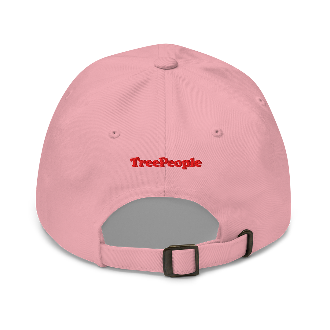 Stop the Top Dad Hat