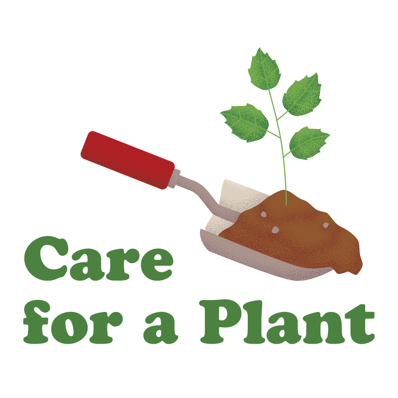 Care for a Plant
