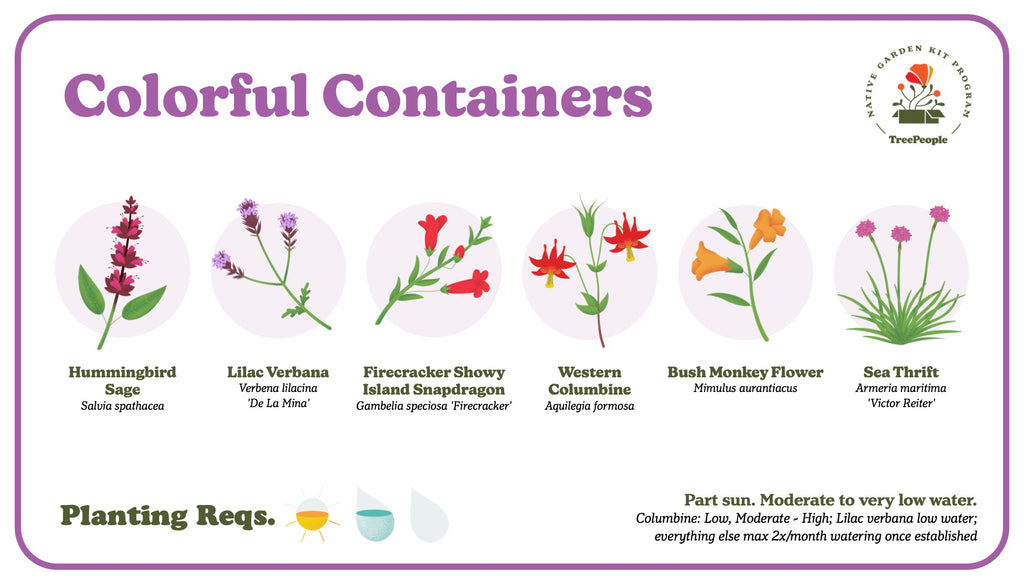 Colorful Container Garden Kit