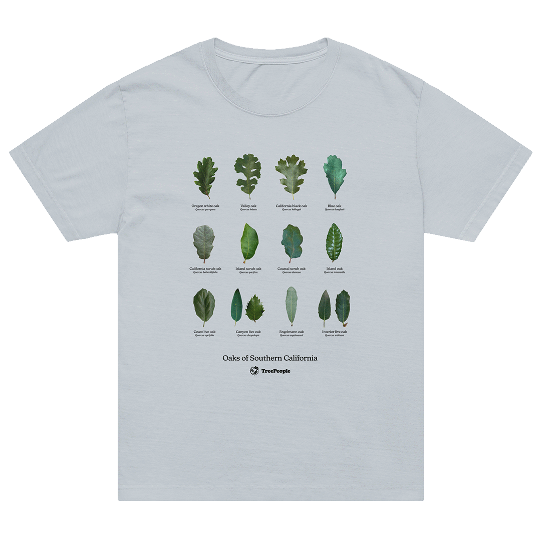 Oaks of Southern California Oversized Shirt