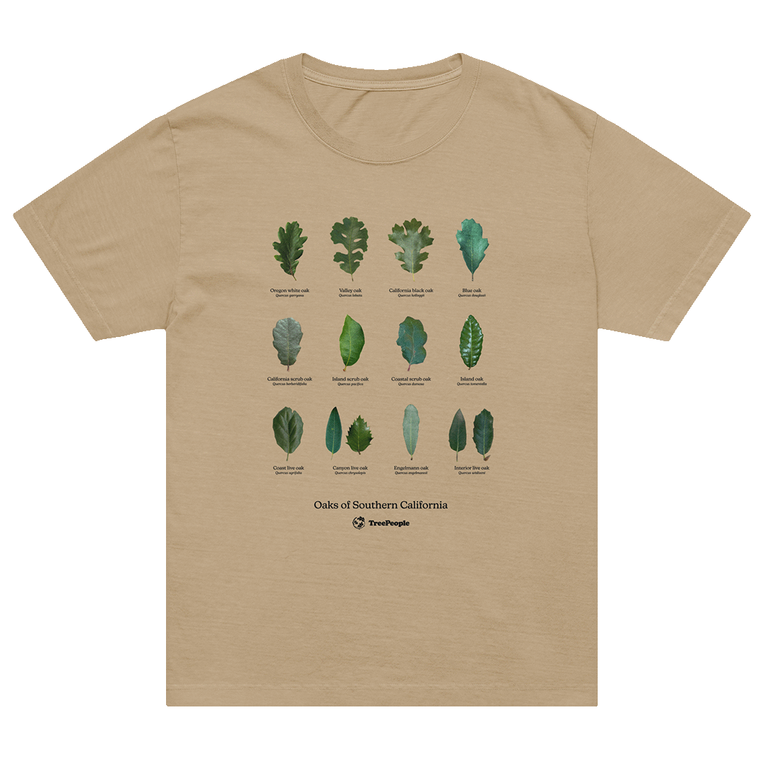 Oaks of Southern California Oversized Shirt