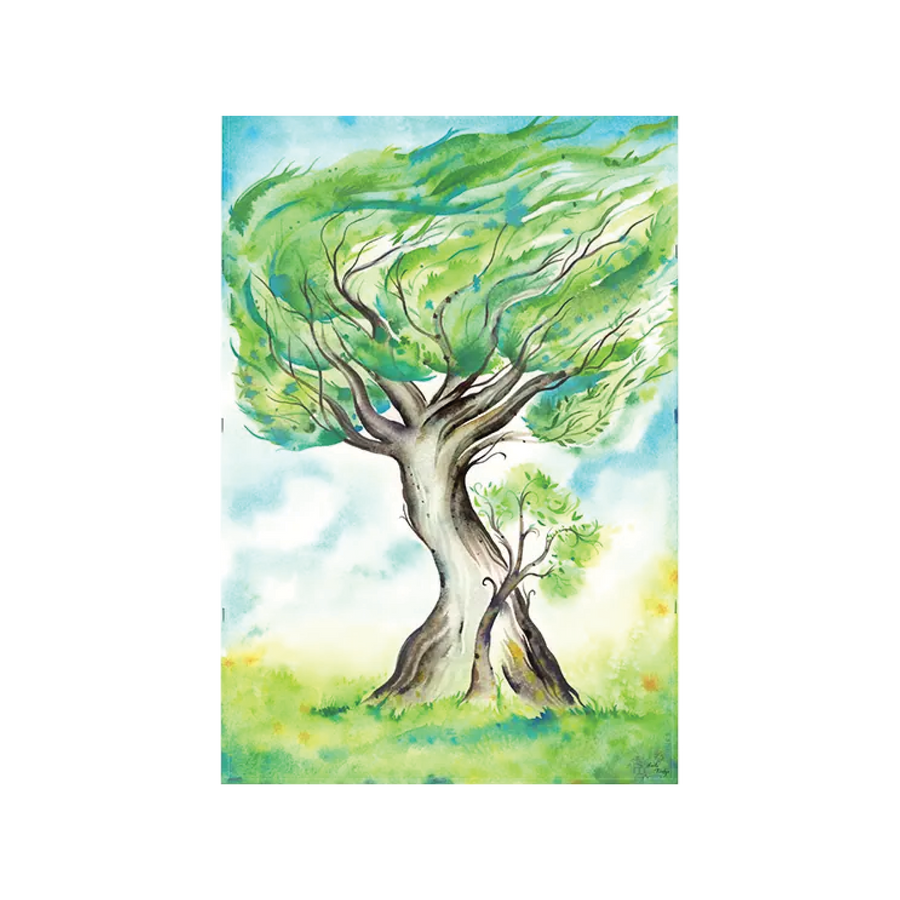 Tree Dedications – TreePeople Store