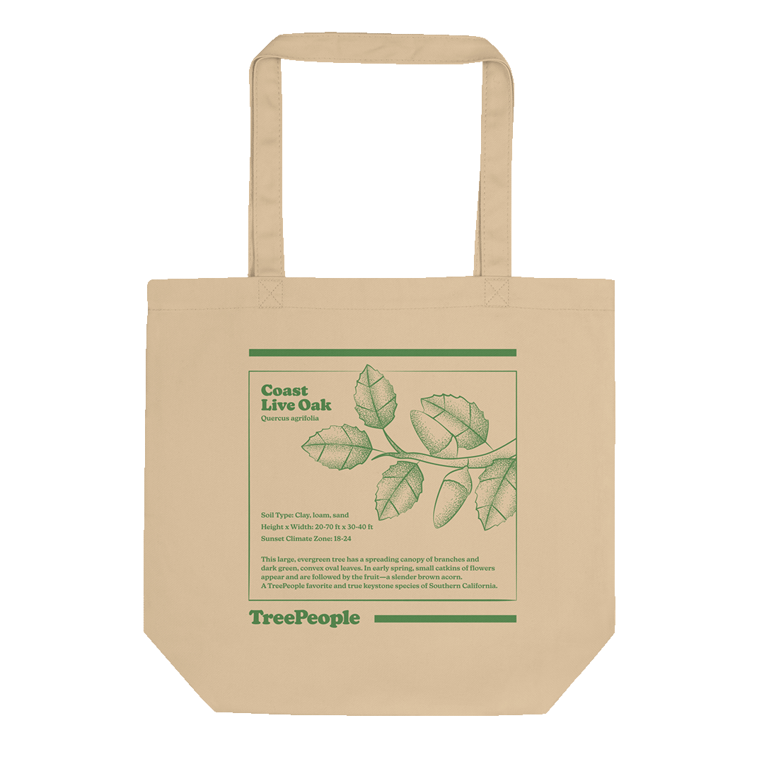 Coast Live Oak Tote