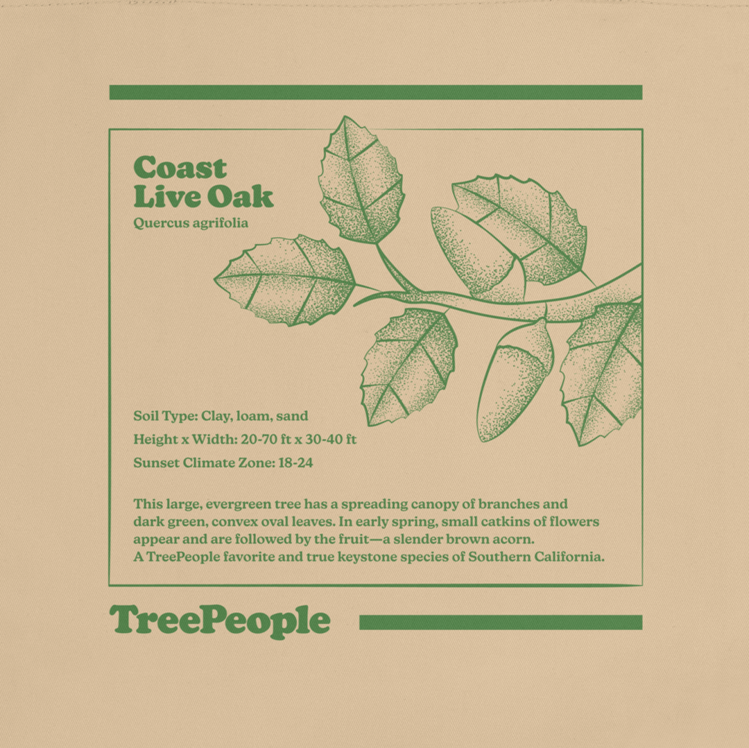 Coast Live Oak Tote