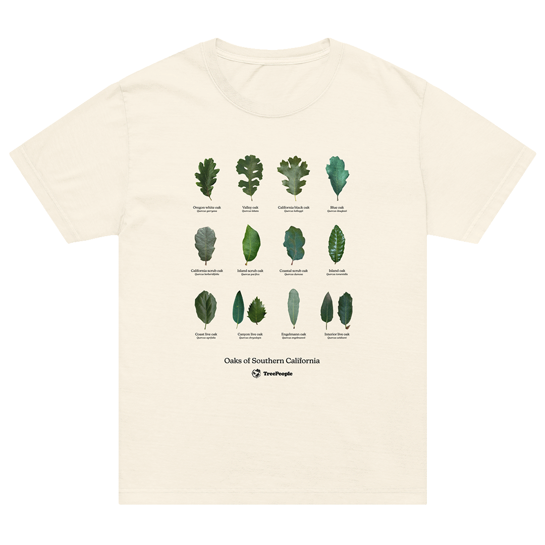 Oaks of Southern California Oversized Shirt