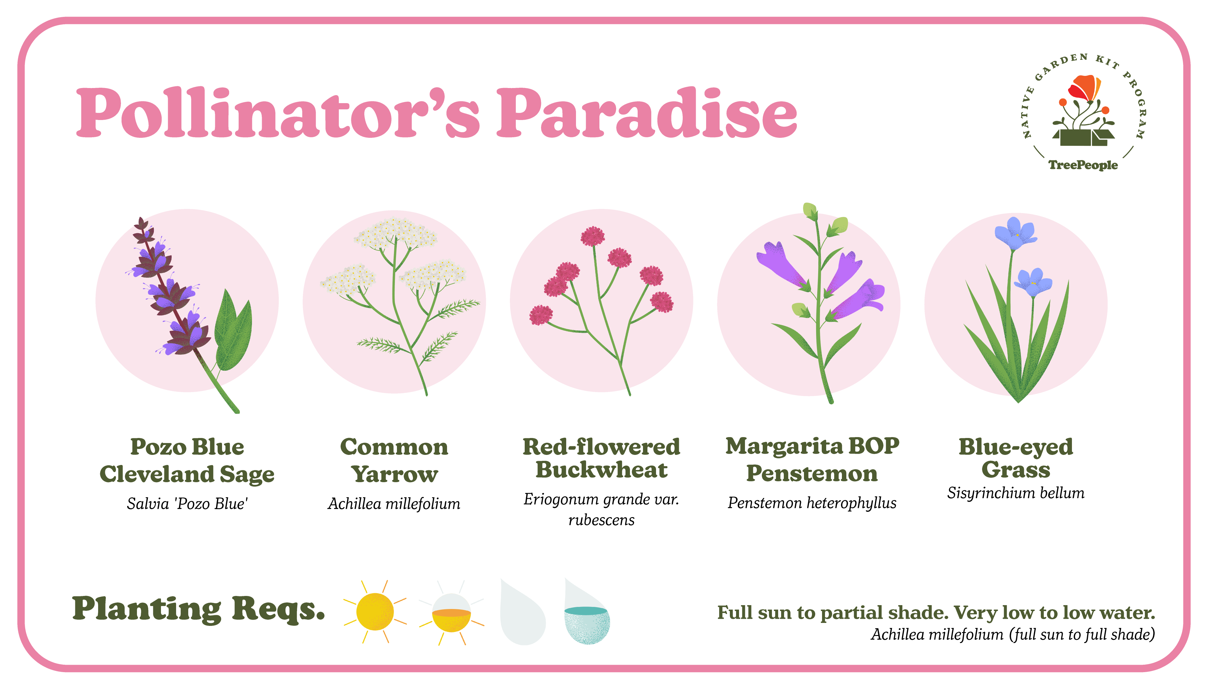TreePeople's Native Garden Kit (PWP)