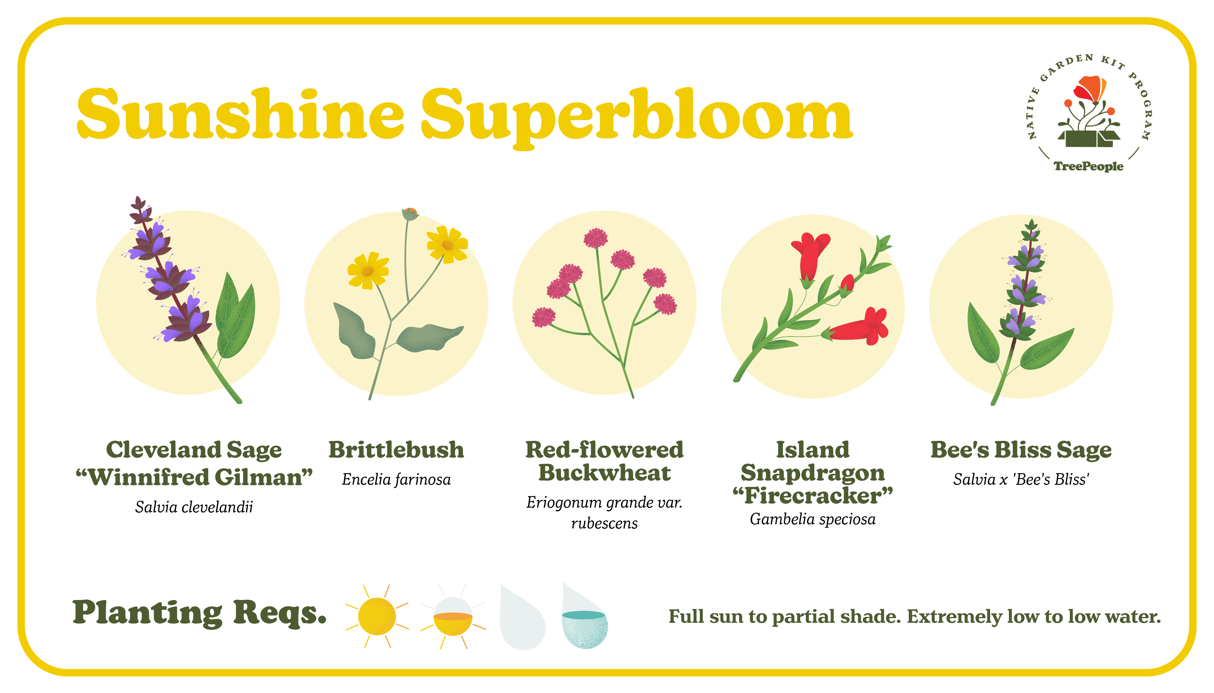TreePeople's Native Garden Kit (PWP)