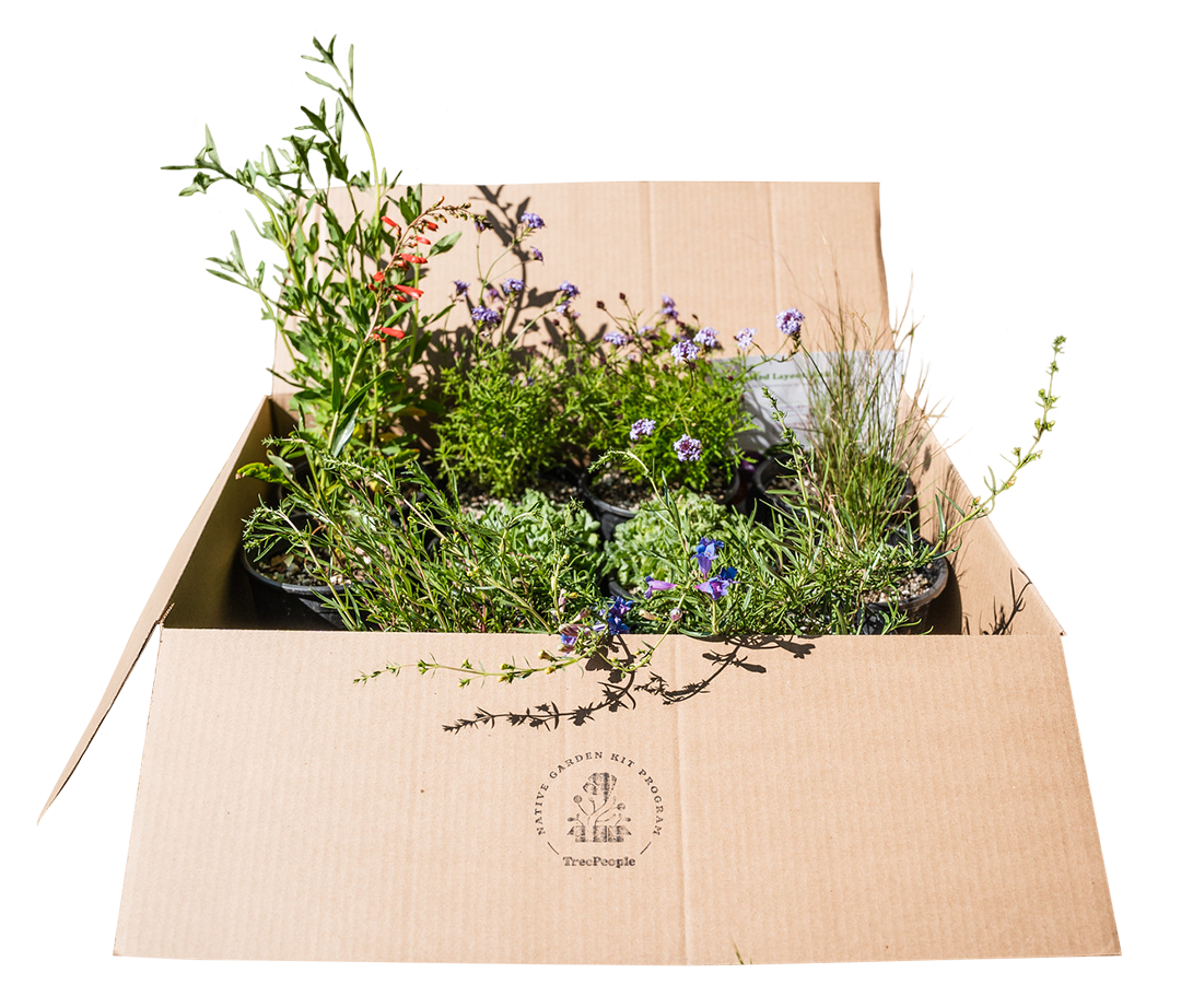 TreePeople's Native Garden Kit (PWP)