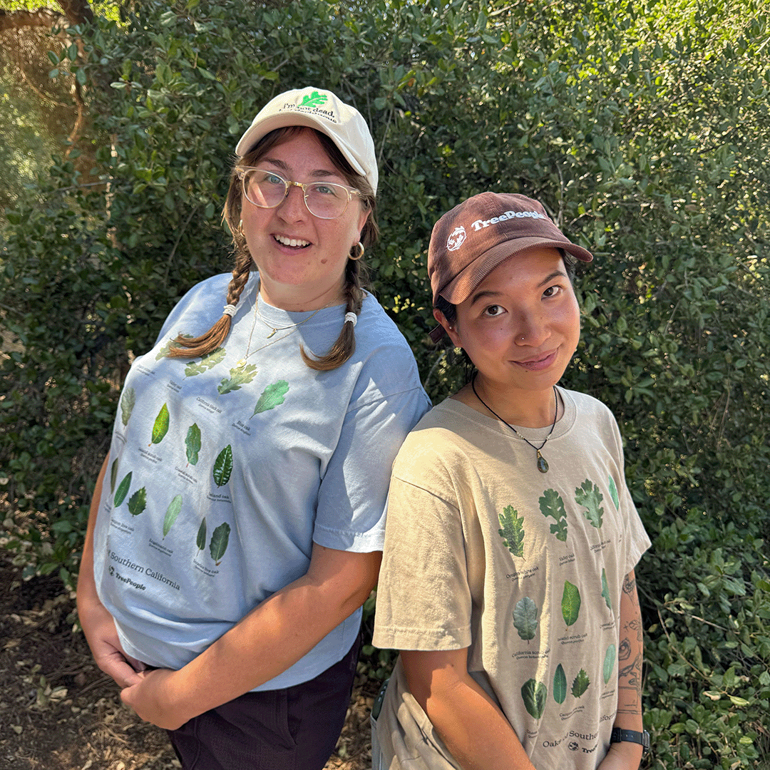 Oaks of Southern California Oversized Shirt