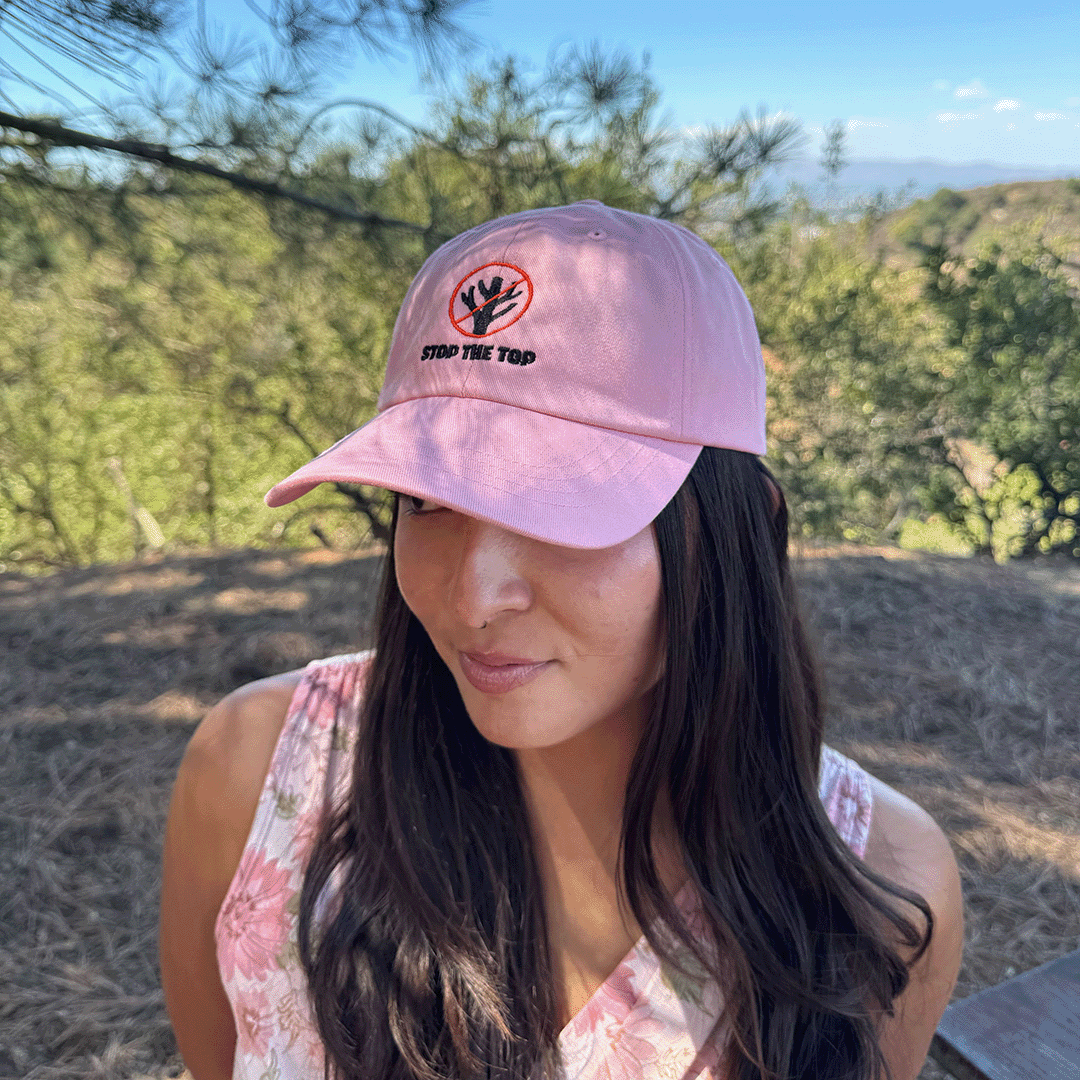 Stop the Top Dad Hat