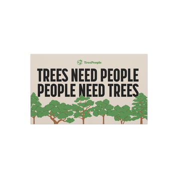 TreePeople Store