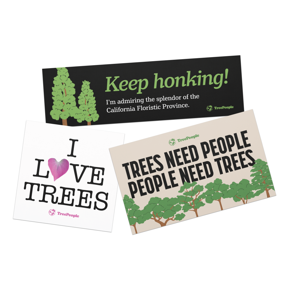 TreePeople Car Magnets