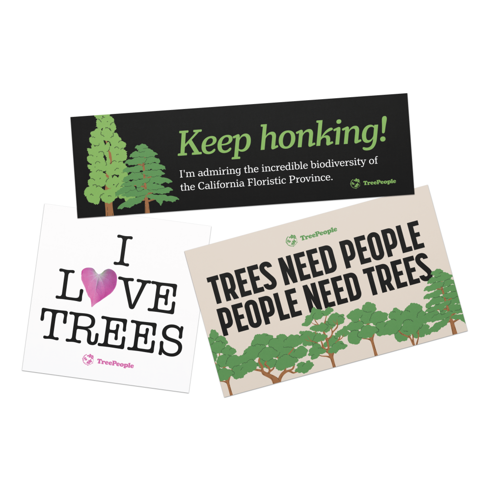 TreePeople Car Magnets