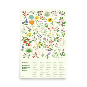 24x36" Southern California Native Plants Poster