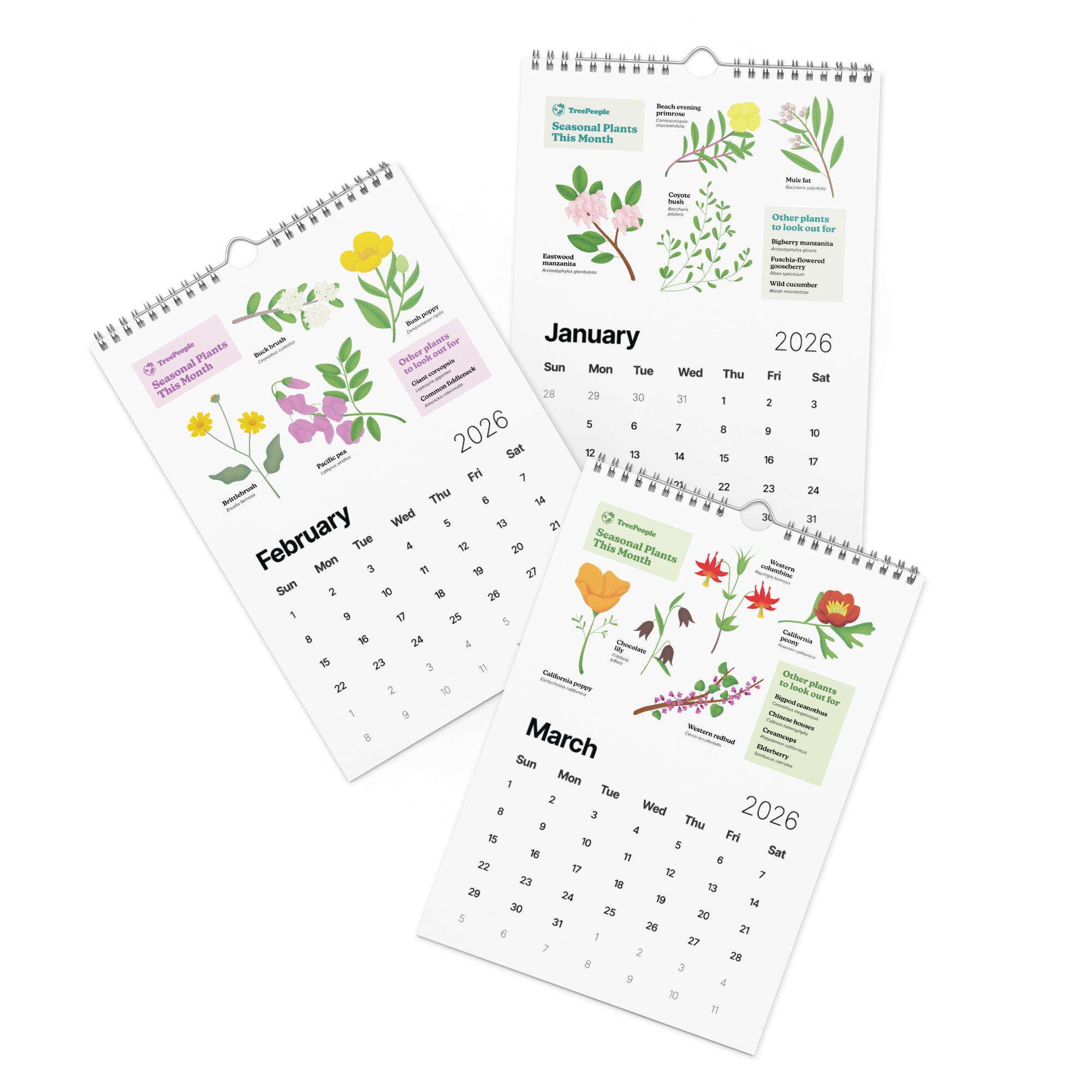 2026 SoCal Seasonal Plants Calendar